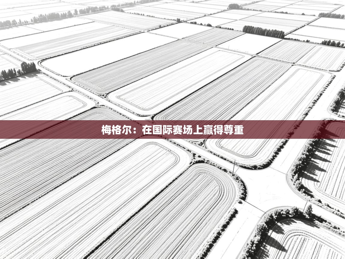 梅格尔：在国际赛场上赢得尊重  第2张