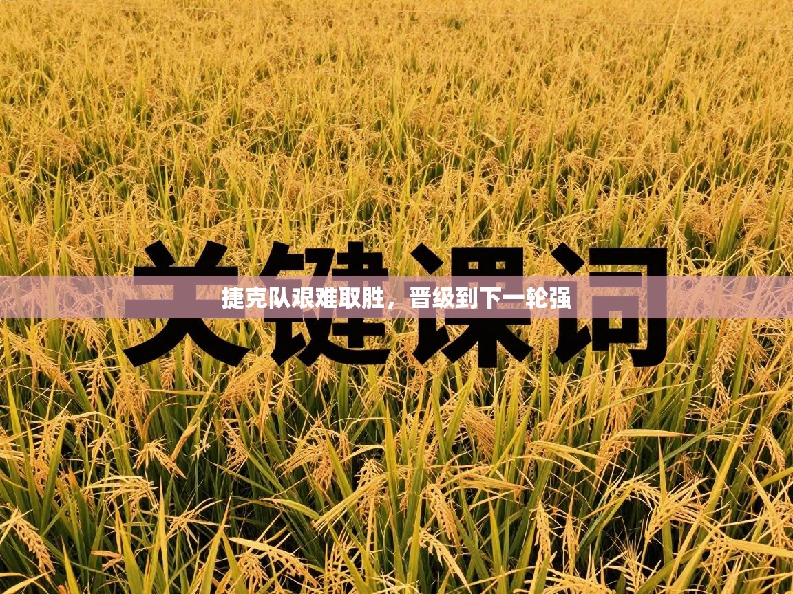 捷克队艰难取胜,晋级到下一轮强