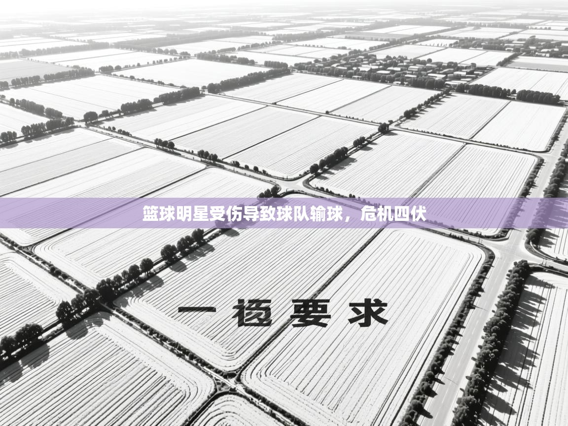 篮球明星受伤导致球队输球,危机四伏