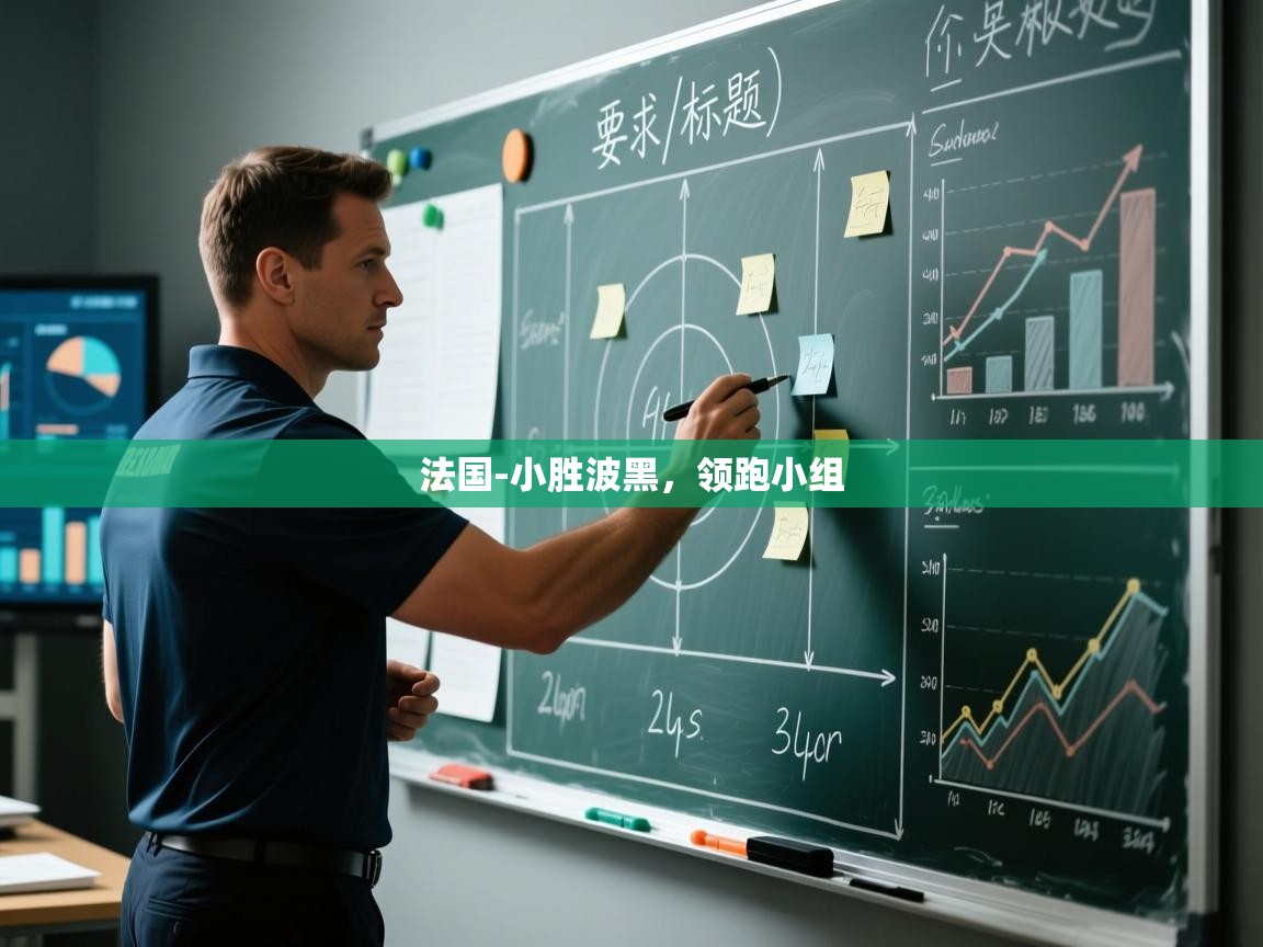 法国-小胜波黑,领跑小组 第2张